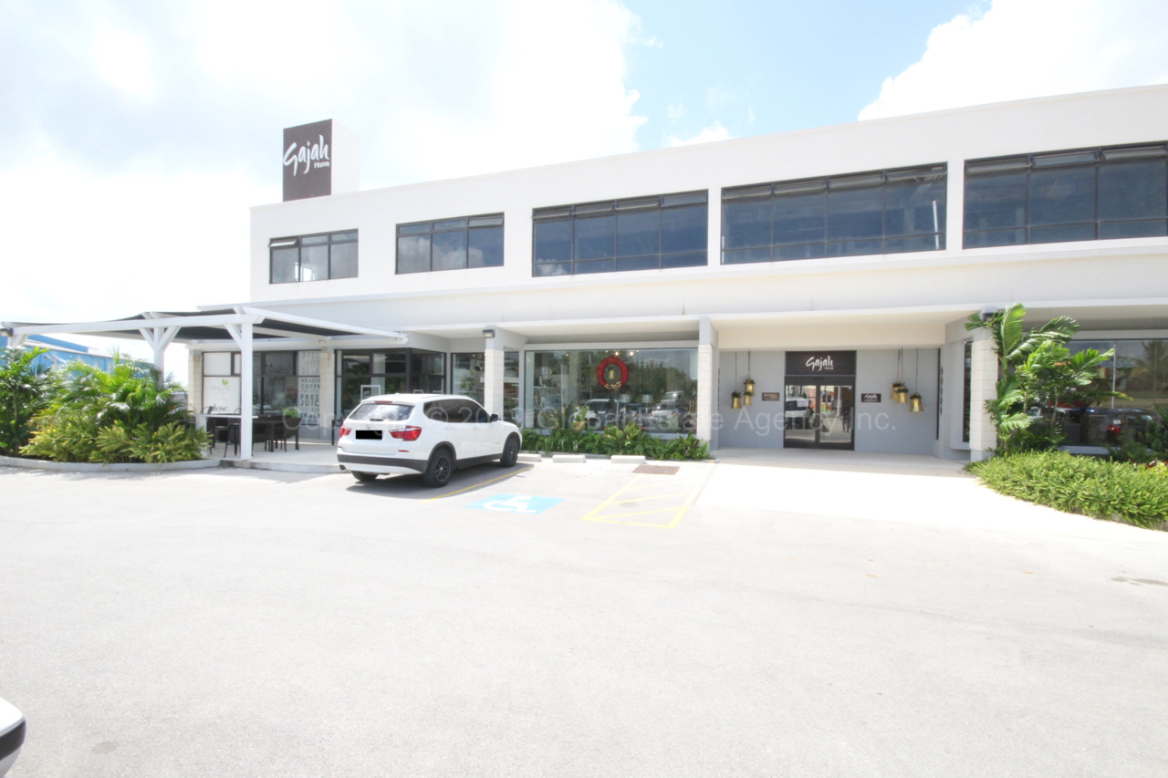 The Avenue Building B Canewood , St. Michael Global Estate Agency